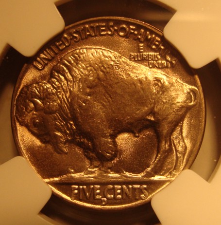 Slabbed-38-D-Buffalo-From-NGC-Coming-Home.-Grade-Question.