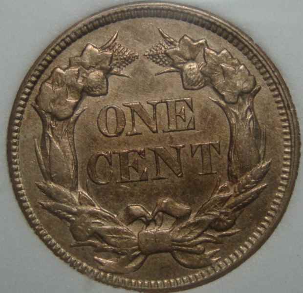 A-Couple-Of-Beauties-For-You-Cent-O-Philes.-Grading-Help-Pls