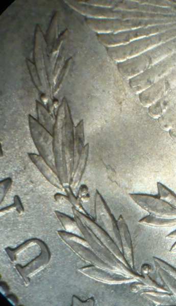 1902-O-Morgan---VAM-Or-Just-Mint-Owie