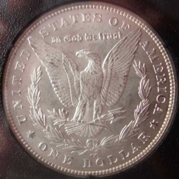 You-Vs.-NGC---1883-CC-GSA-Hoard-Morgan