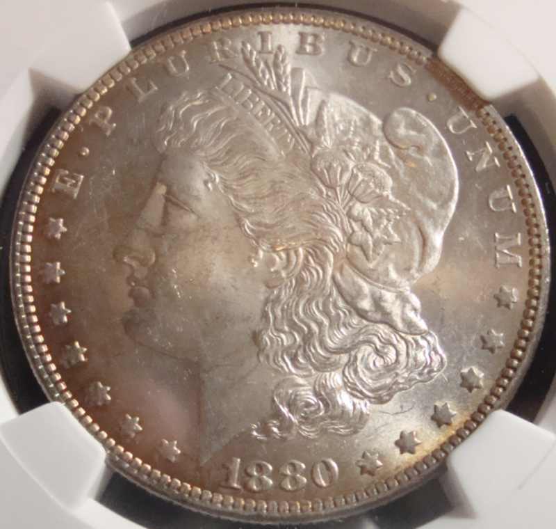 You-Vs.-NGC---1880-O-Morgan-Dollar