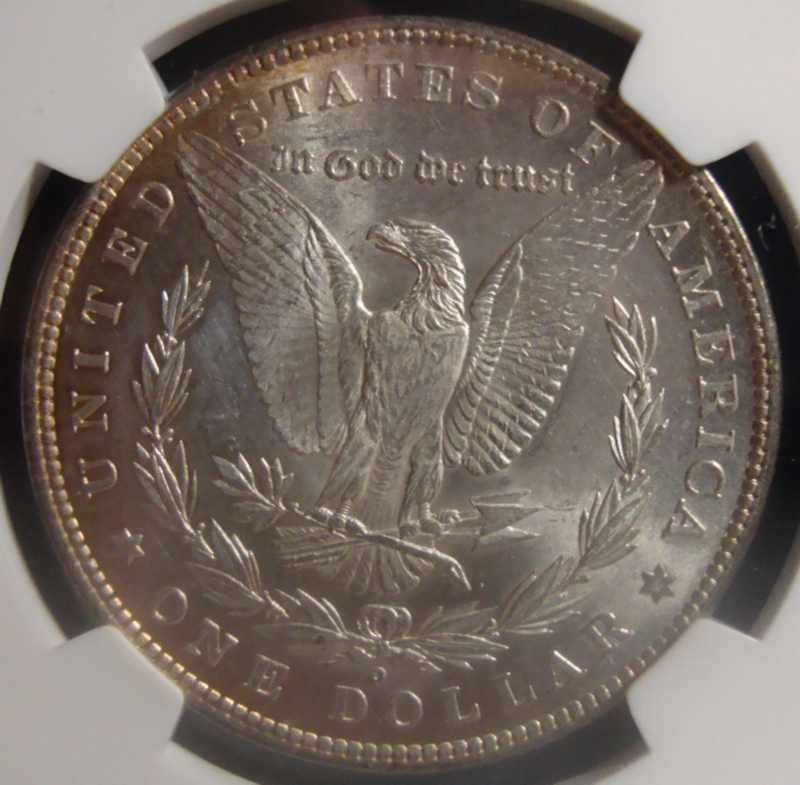 You-Vs.-NGC---1880-O-Morgan-Dollar
