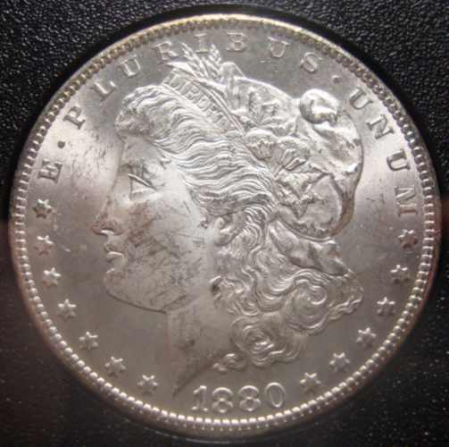 Finished-Set-Of-Carson-City-Morgans