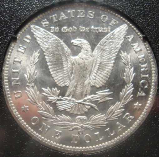 Finished-Set-Of-Carson-City-Morgans