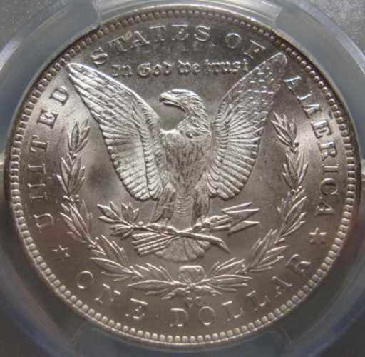 Finished-Set-Of-Carson-City-Morgans