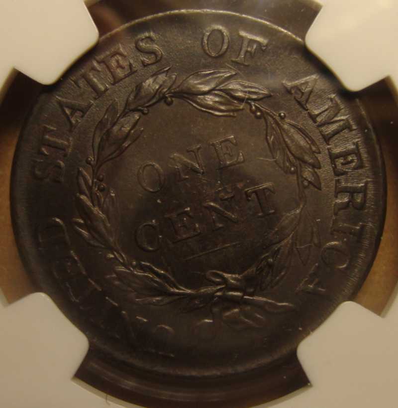 You-Vs.-NGC---1818-Large-Cent