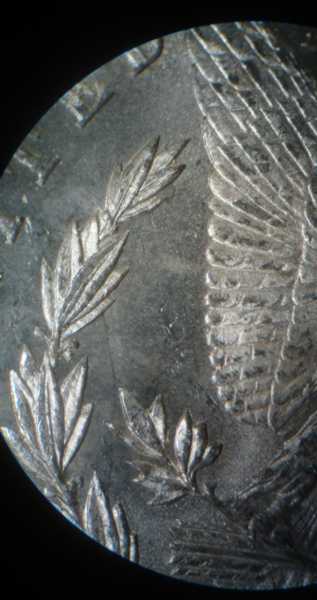 Another-1878-P---Type-2---Need-Help