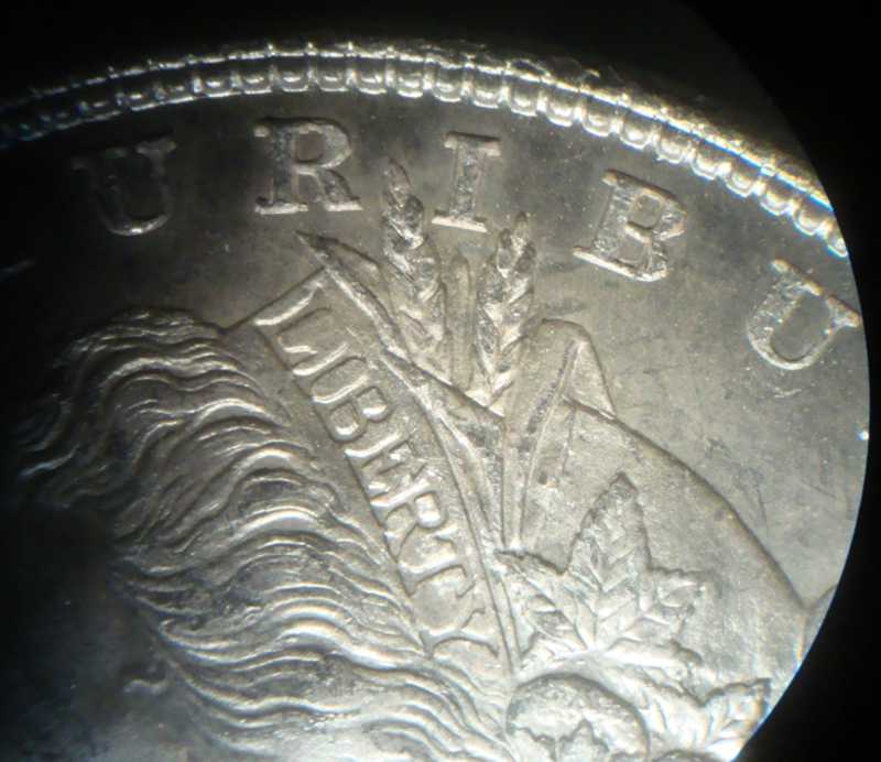 Another-1878-P---Type-2---Need-Help