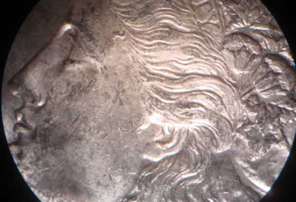 Another-1878-P---Type-2---Need-Help