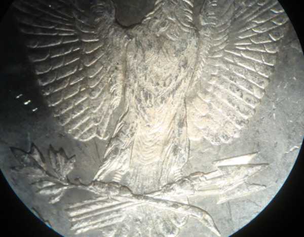Another-1878-P---Type-2---Need-Help