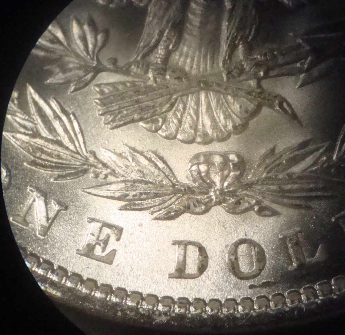 1885-P-Possible-Discovery-VAM?