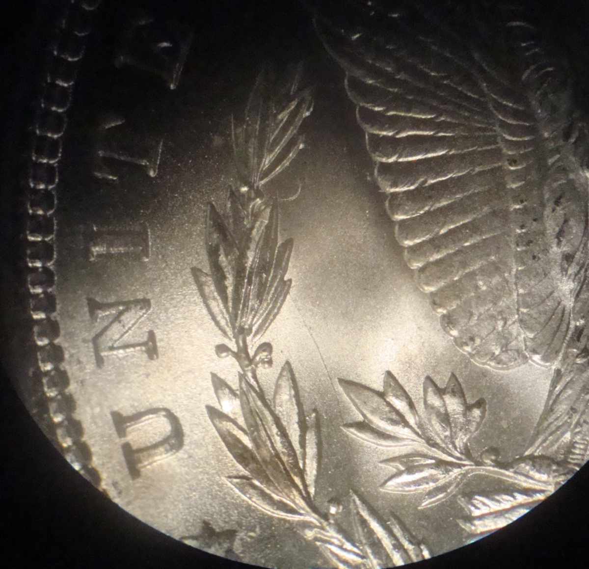 1885-P-Possible-Discovery-VAM?