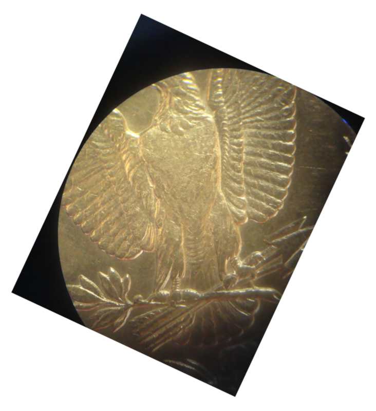 1888-O-VAM-1-H---An-Elusive-Lady