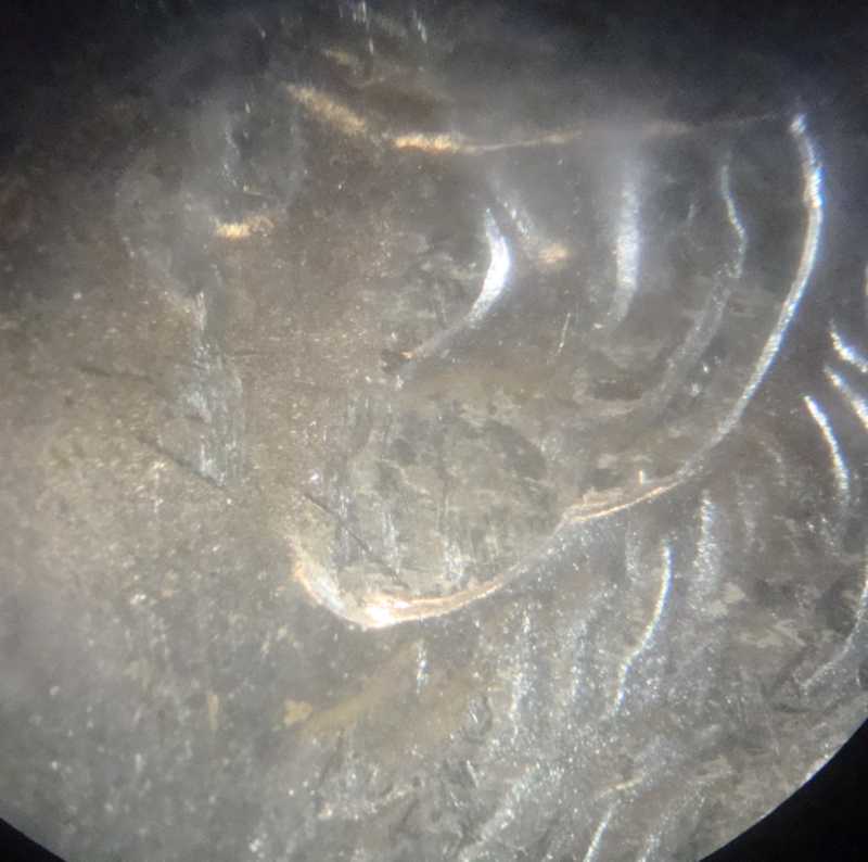 Need-Some-Help-On-Identifying-This-'88-O