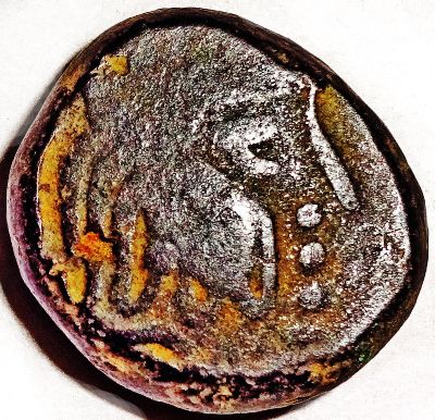 Maitraka-Dynasty-King--Bhatarka