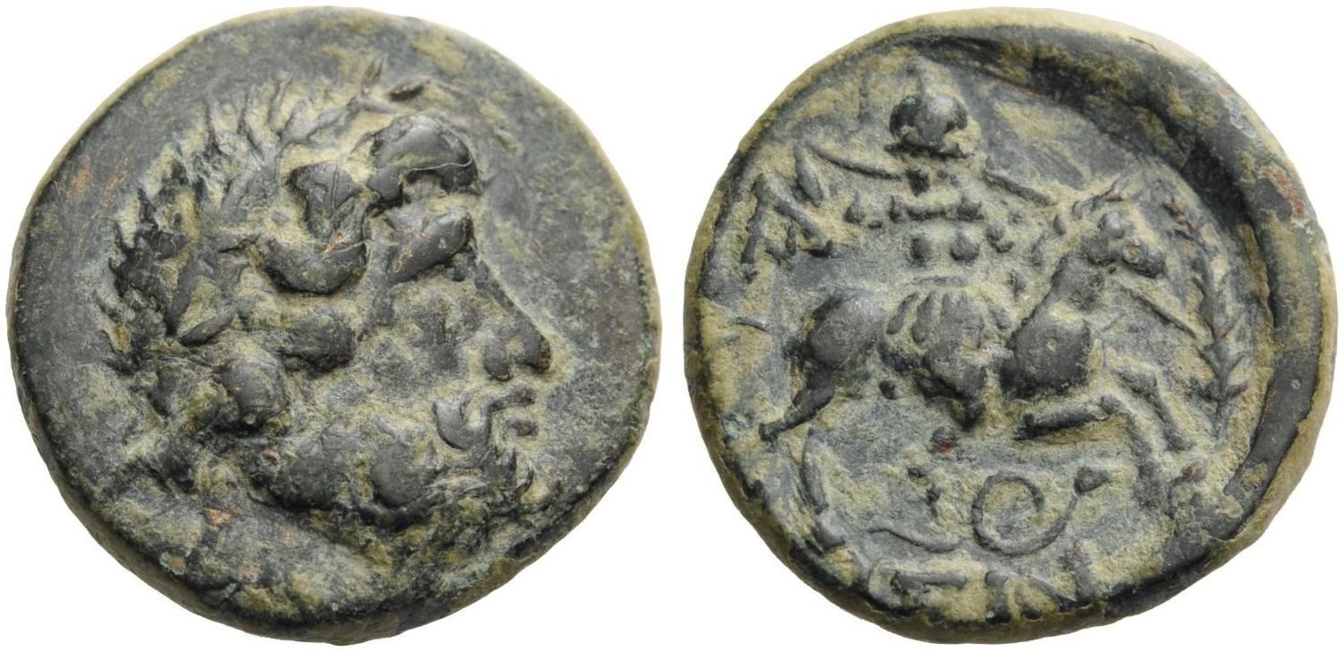My-First-Animal-On-A-Coin.