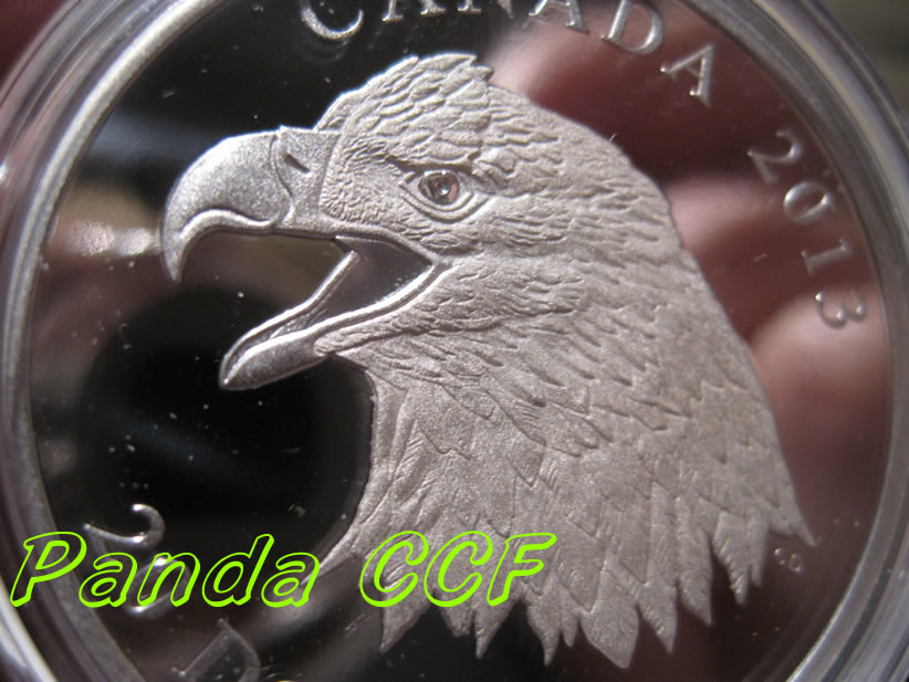 I-Am-So-Happy-With-$20-Bald-Eagle