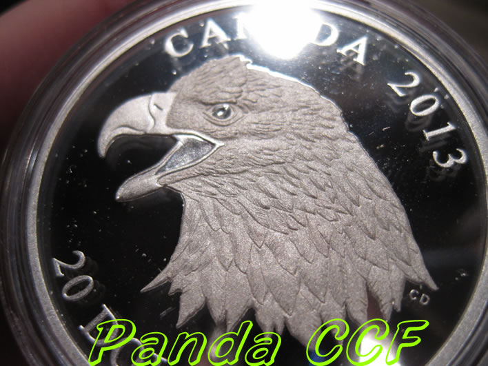 I-Am-So-Happy-With-$20-Bald-Eagle