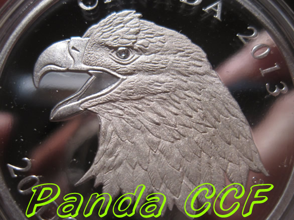 I-Am-So-Happy-With-$20-Bald-Eagle