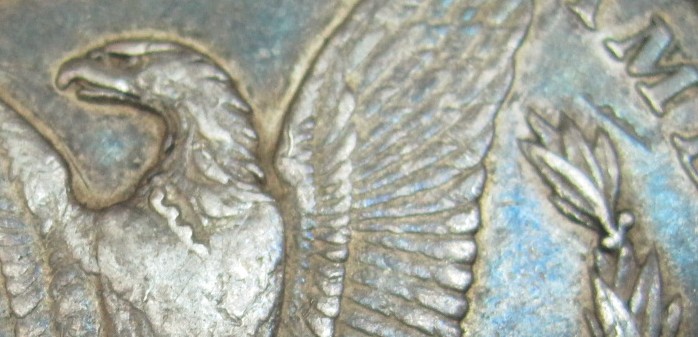 Struck-Through-Or-PMD?-Morgan-Dollar