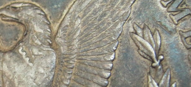 Struck-Through-Or-PMD?-Morgan-Dollar