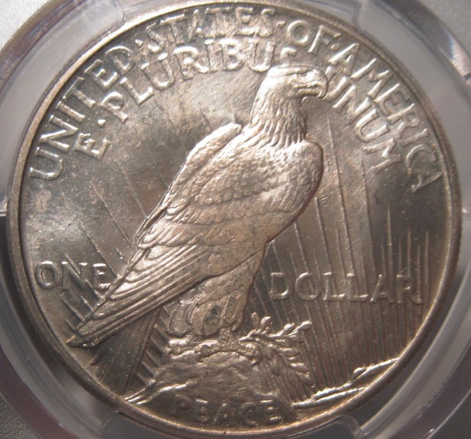 [early-Die-Or-Special-Strike]-1921-Peace-Dollar-Rare-Find?