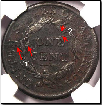 1808-Large-Cent,-12-Star