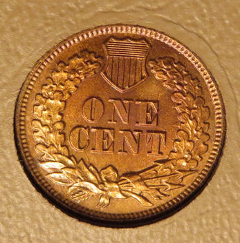 1864-IHC-Grade-&-Color