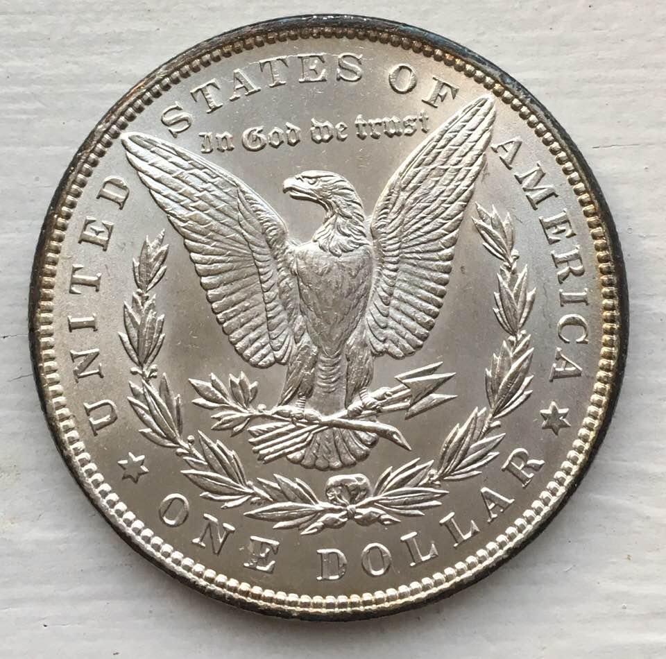 For-Your-Grading-Pleasure-1898-Morgan.