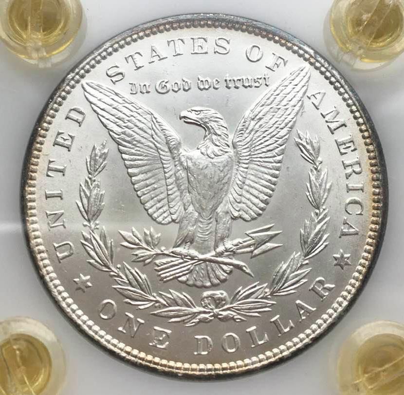 1898--Dollar-For-Your-Grading-Pleasure---Updated-Photos