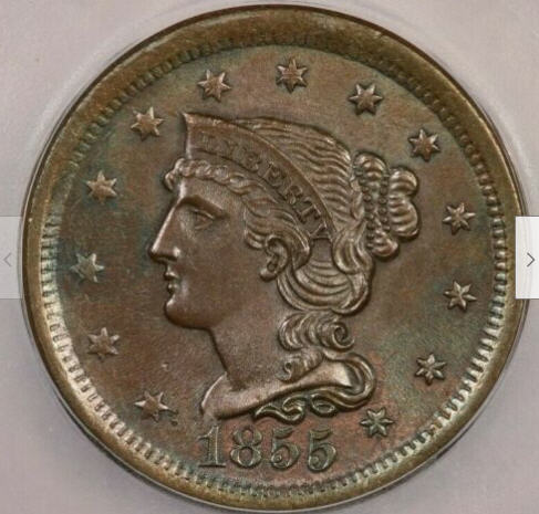 1855-Straight-5-Assessment
