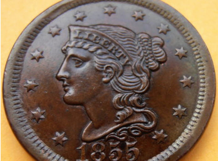 1855-Straight-5-Assessment