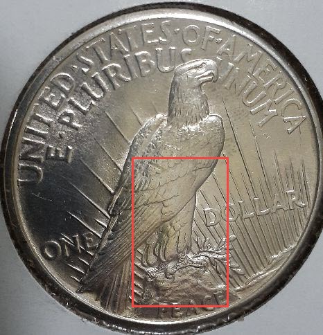1921-Peace-Dollar-From-Local-Coin-Show