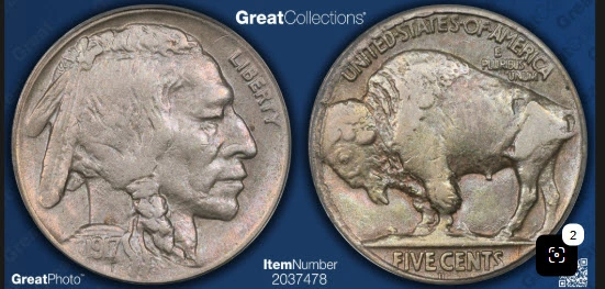 1917-D-Buffalo-Nickel-For-Grading