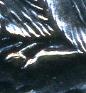 1965-Extra-Claw