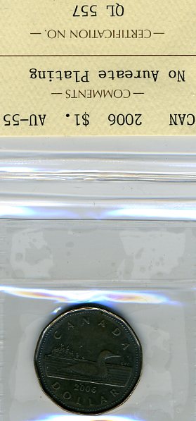 2007-1-Dollar-Error