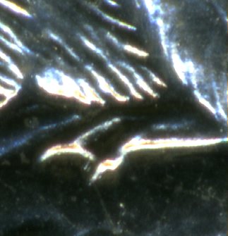 1965-Extra-Claw