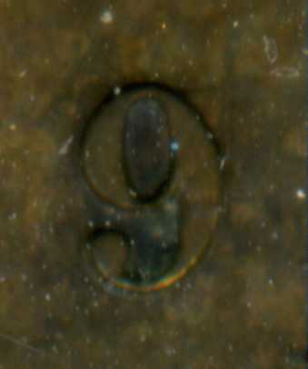 Question-About-Charlton-And-Haxby-1859-9/9-Large-Cent-Tough-Varieties