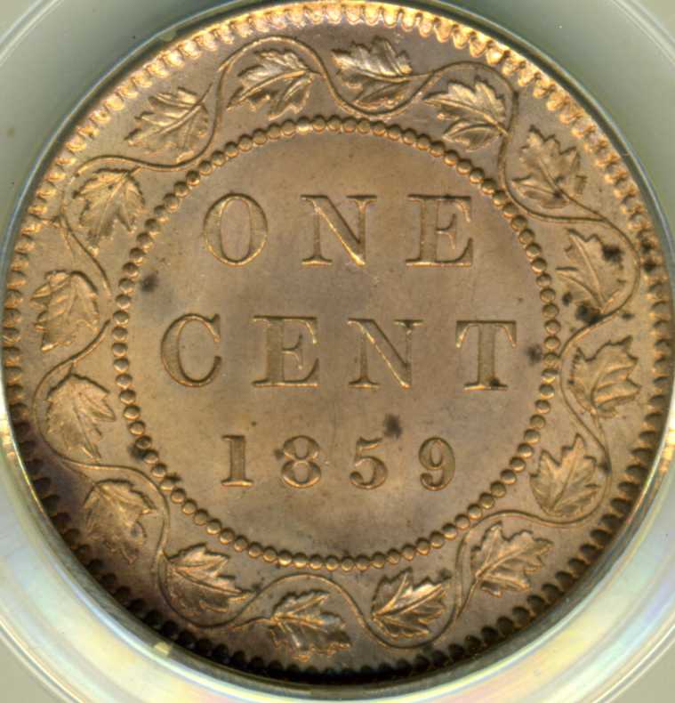 Question-On-1859-Dp5's