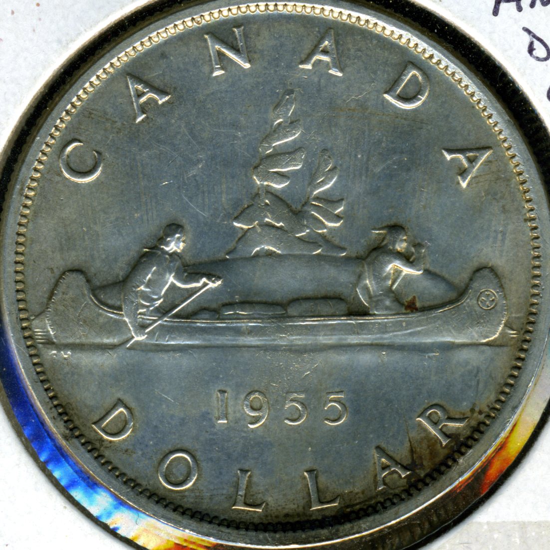 1955-Anp-Silver-Dollar-Grading