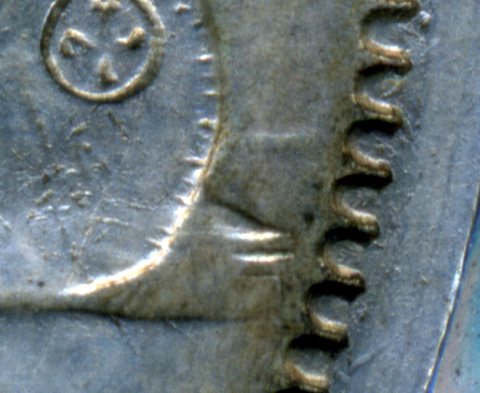 1955-Anp-Silver-Dollar-Grading