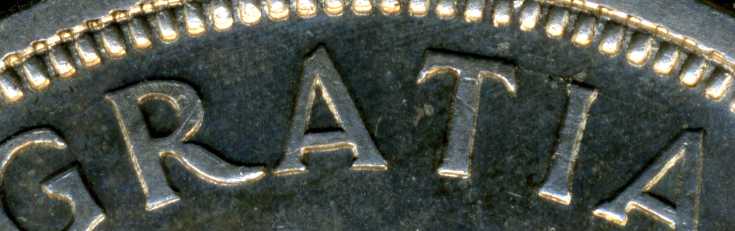 1955-Anp-Silver-Dollar-Grading