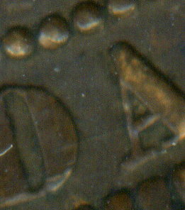 Nice-1888-Bead-Punch-Large-Cent