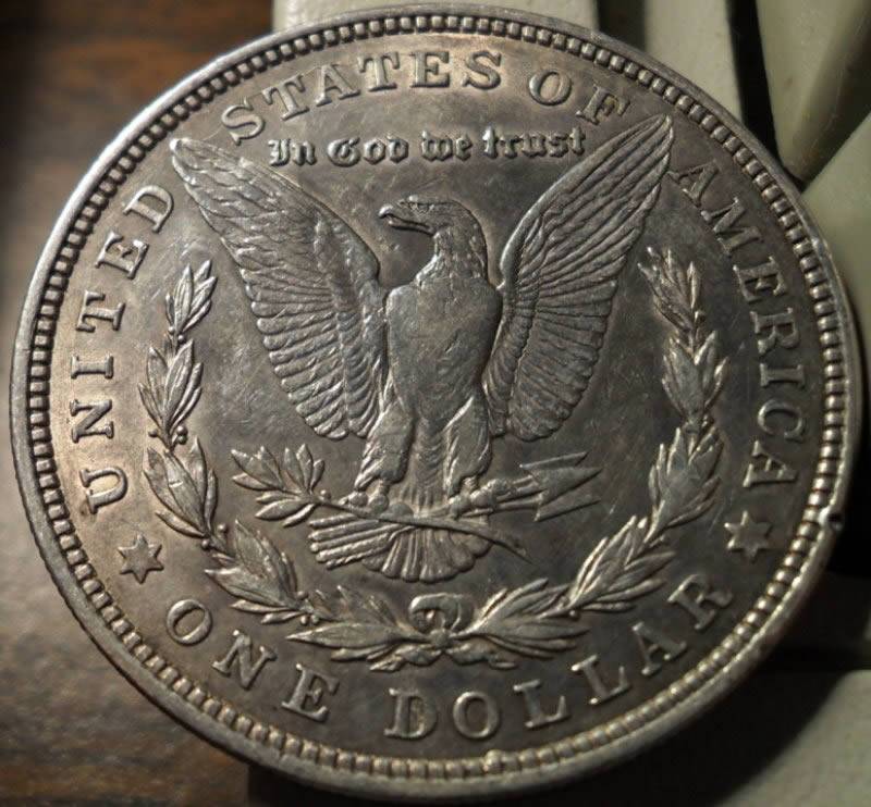 1921-Morgan-Dollar-Philadelphia,-Grade/Opinions?-VAM-3B1?