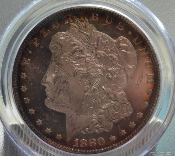 Testing-Out-My-New-Camera-Vs.-A-DMPL-Morgan