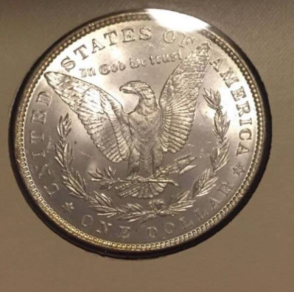 Gambling-With-Morgans-1880-O-And-1882,-Hold-Em-Or-Fold-Em?