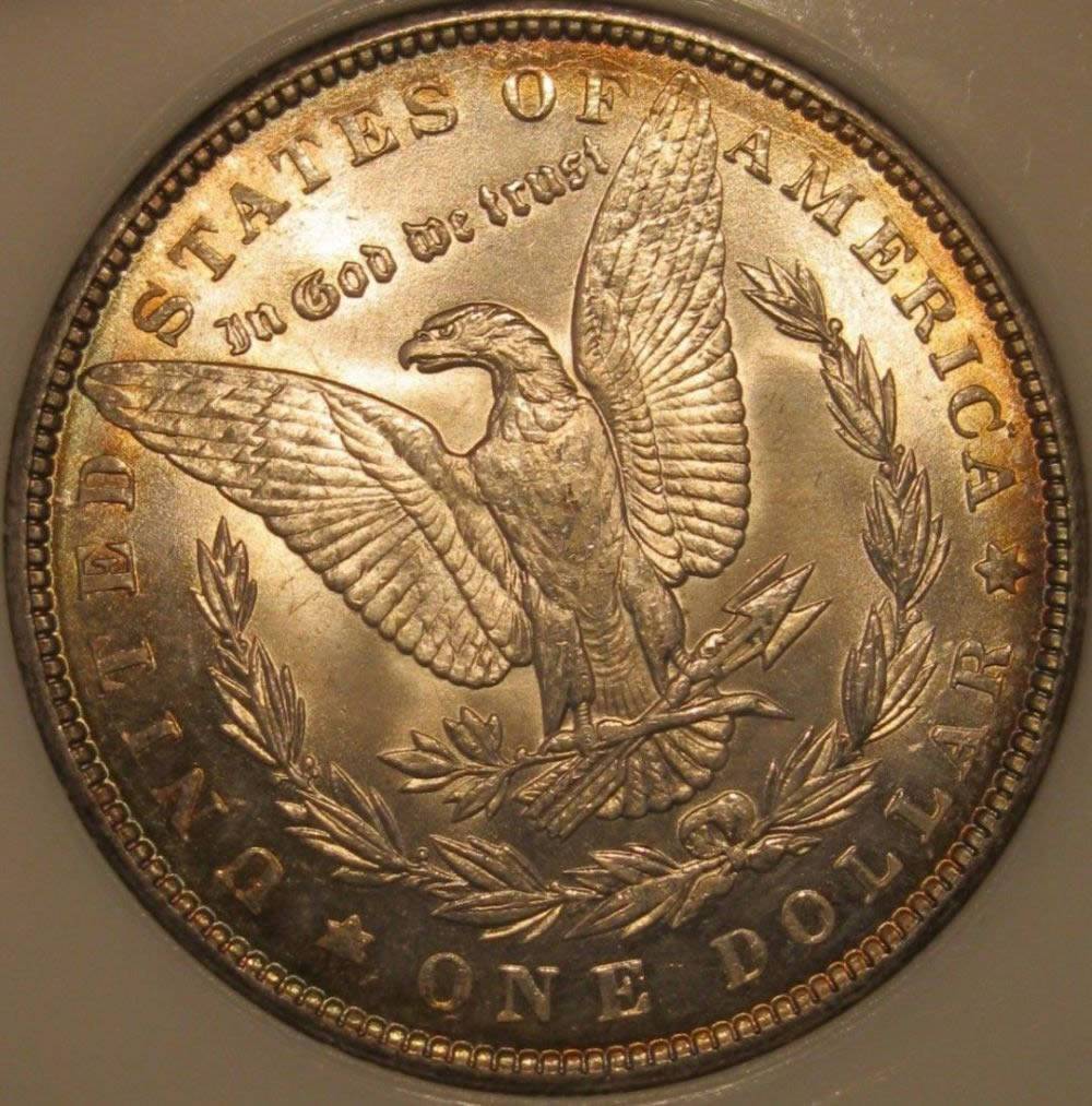 1899-Morgan-Dollar---Textile-Toning-Or-...?-Grade-It.-Raw