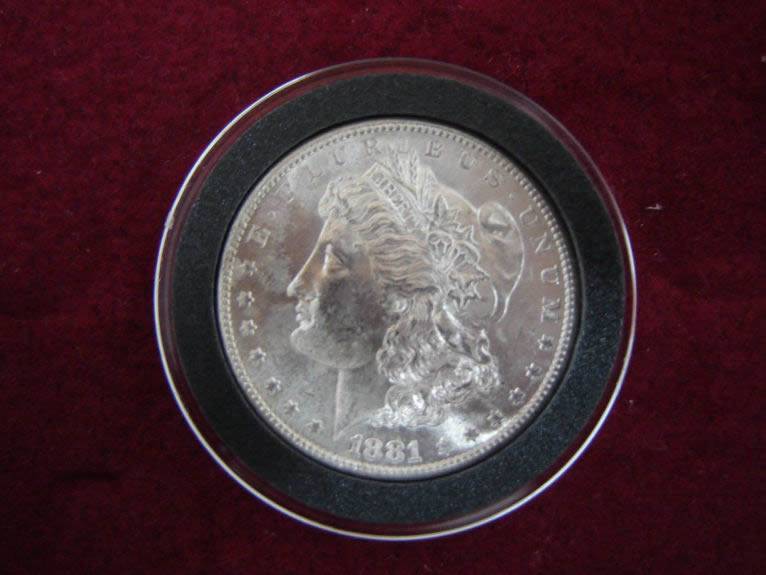 1881-S-Morgan-Dollar,-ANACS-Photo-Certificate,-Grade-It!