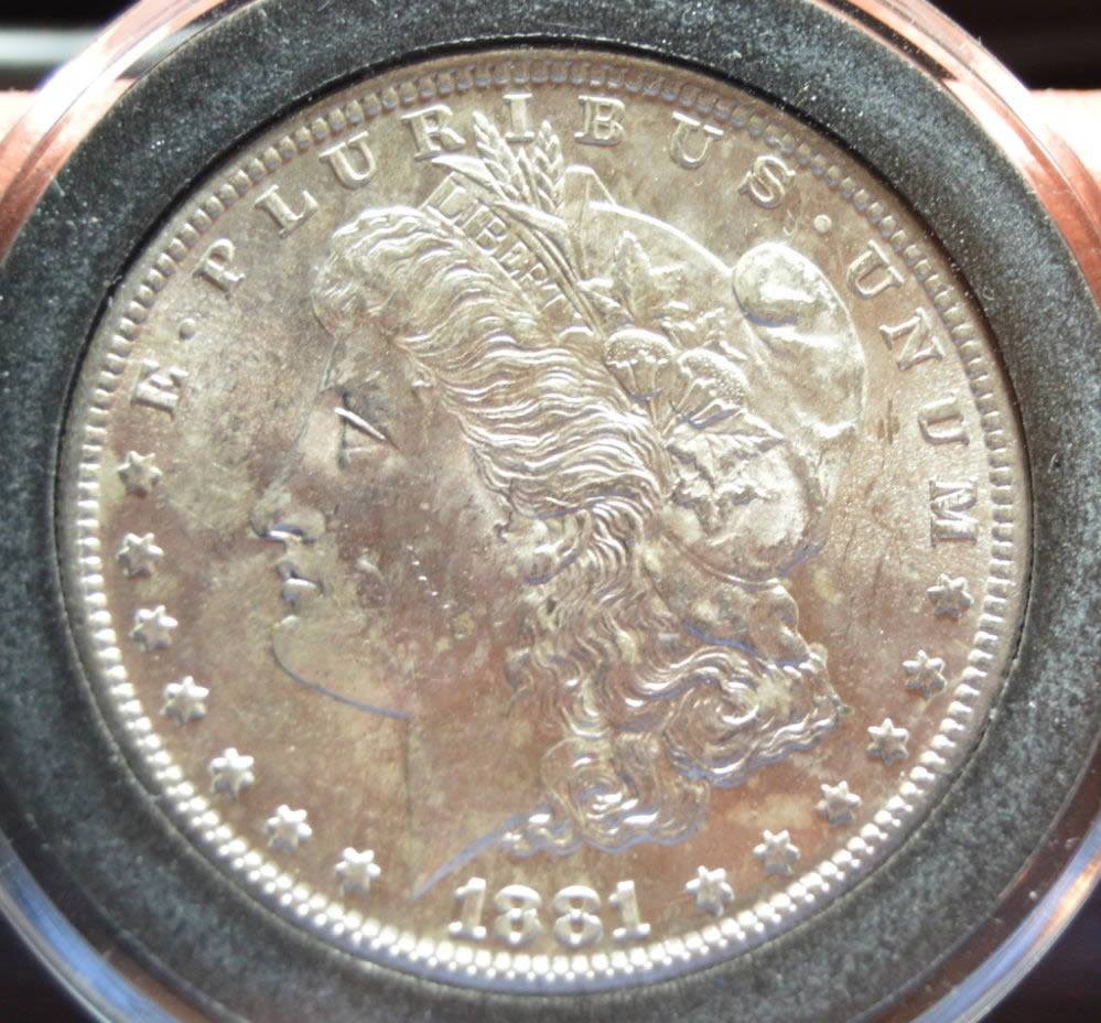 1881-S-Morgan-Dollar,-ANACS-Photo-Certificate,-Grade-It!