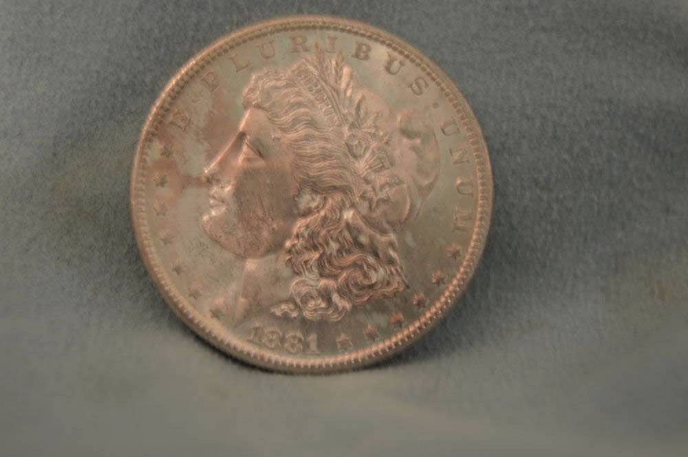 1881-S-Morgan-Dollar,-ANACS-Photo-Certificate,-Grade-It!